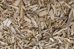 biomass boilers Tirinie